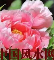 商丘预示你财运上升，姻缘可成的梦境，快来看看吧！