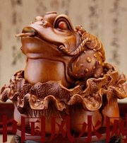 商丘解读金蟾最合适的位置，这样摆放更招财！